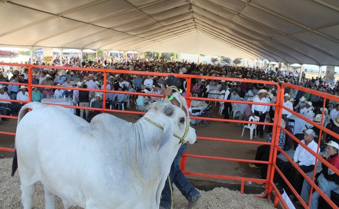  Foto: Tomada de FaceBook @FeriaGanaderaSinaloa