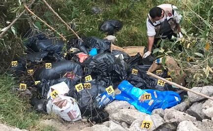 Hallan 40 bolsas de plástico con perritos muertos en Naucalpan; Fiscalía mexiquense ya investiga 