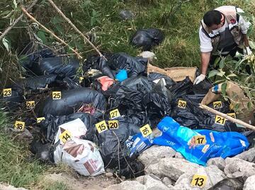 Hallan 40 bolsas de plástico con perritos muertos en Naucalpan; Fiscalía mexiquense ya investiga