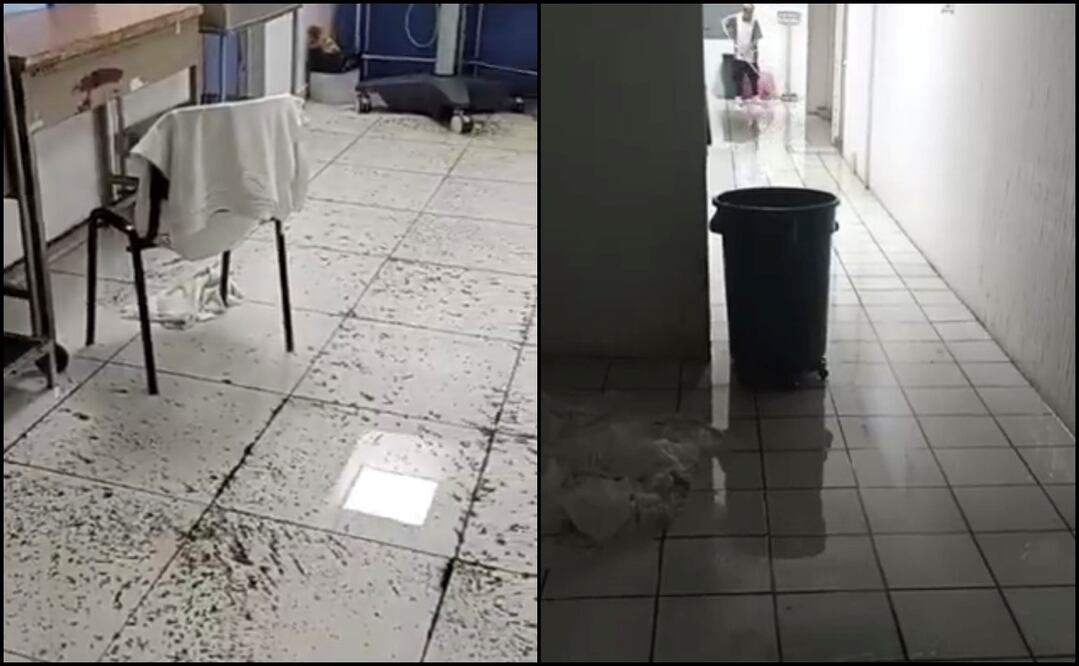Trabajadores documentaron filtraciones, escurrimientos y acumulación de agua en distintas áreas del inmueble. Foto: Especial