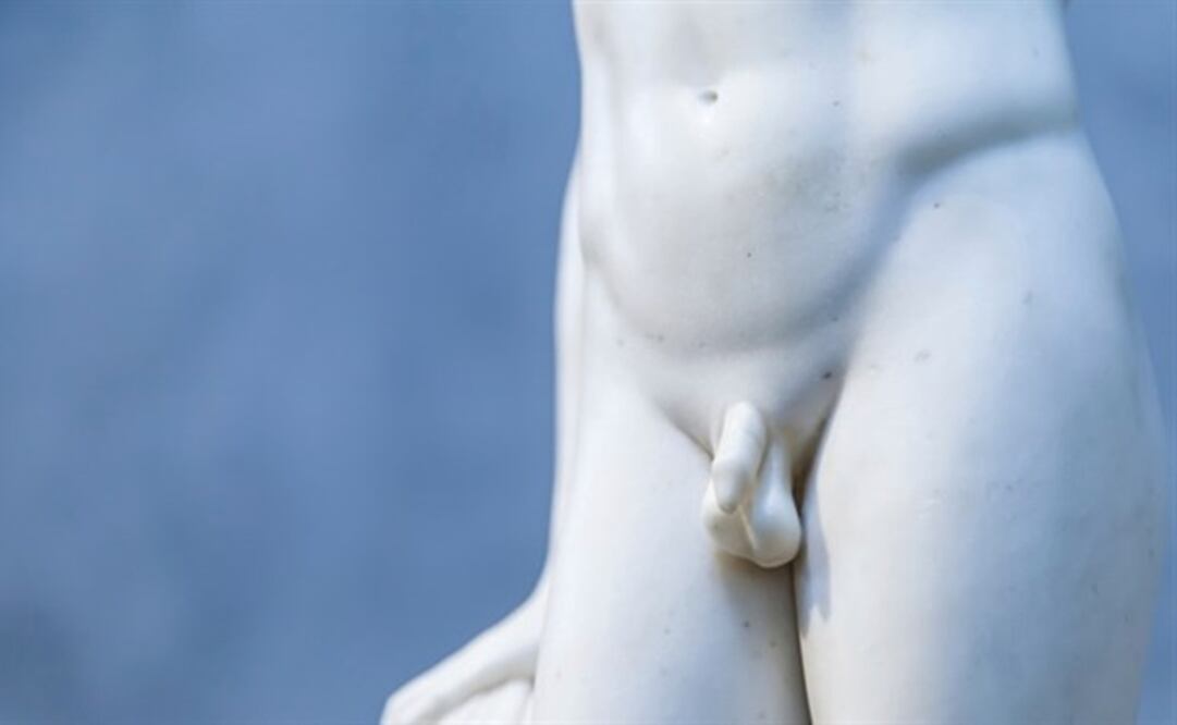 Esta fractura de pene puede producirse al aplicar una fuerza excesiva y tangencial al pene en erección. (FOTO: Especial)