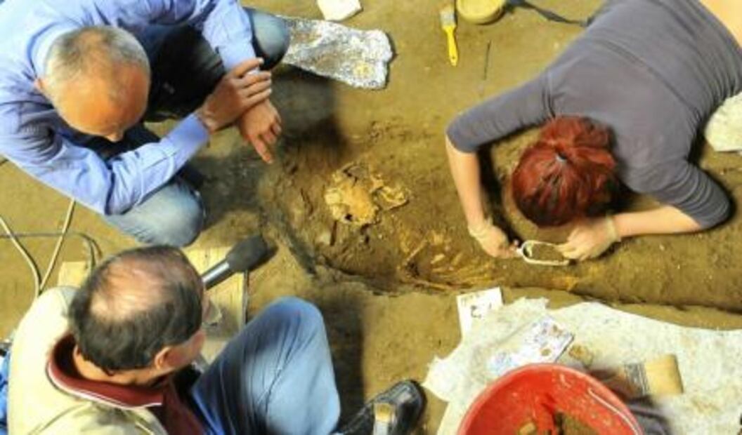 Los atentados contra la “Mona Lisa” y otras curiosidades