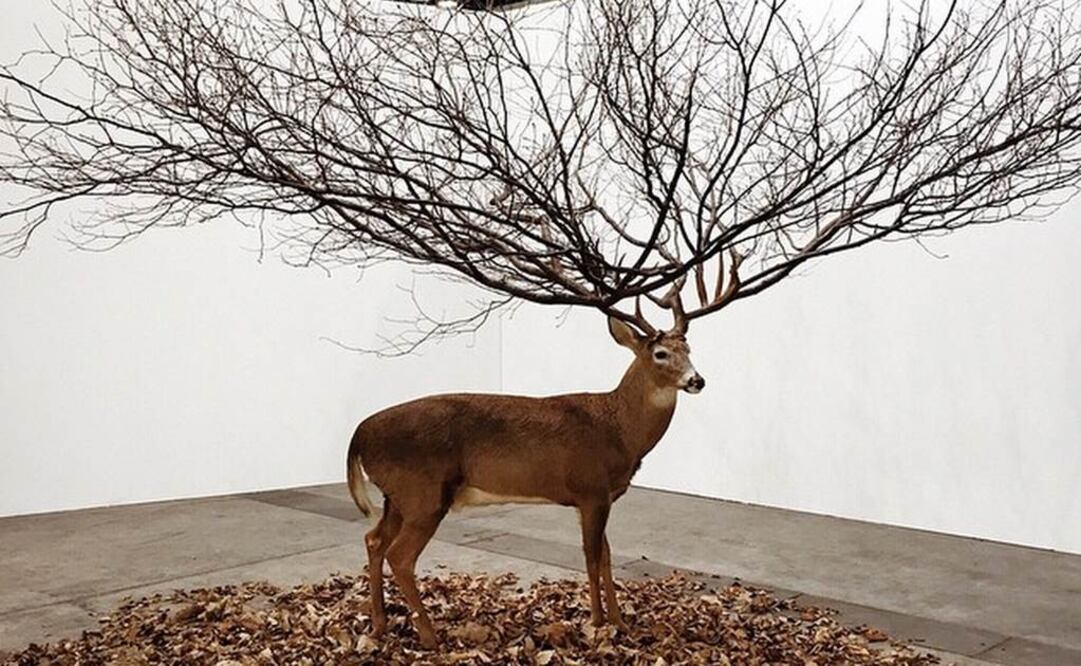 De acuerdo son la empresa "Artsy", de 35 coleccionistas conocidos más de la mitad compró obras de arte de artistas que habían descubierto en Instagram. (FOTO de Instragram: artsy)