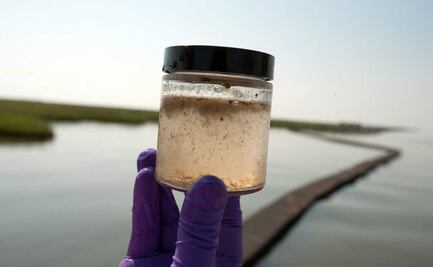 A través de los océanos, científicos sugieren una nueva forma de descarbonización