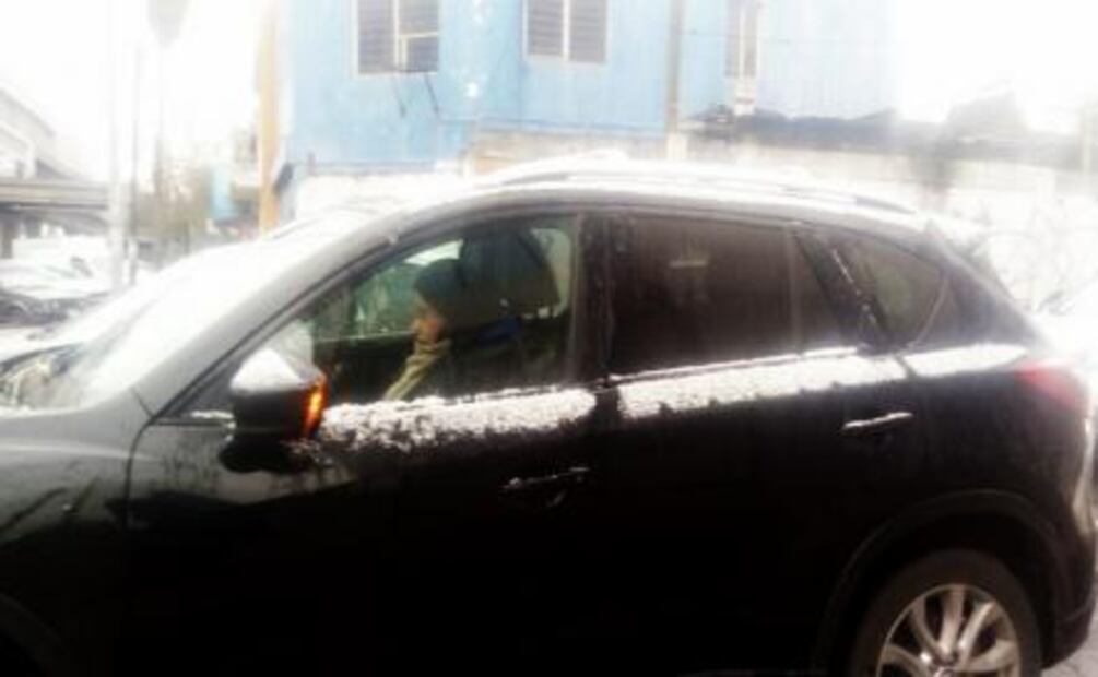 Estas son las imágenes de las nevadas en los estados