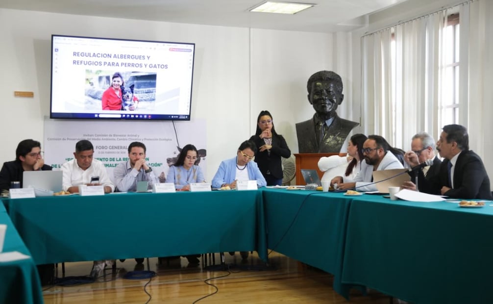 Legisladores analizan regulación de albergues; activistas exigen apoyo y penas más duras contra maltrato animal.
Foto: CARLOS MEJIA/EL UNIVERSAL
