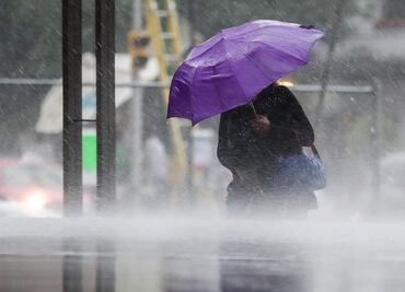 Caída de 12 árboles, de cinco ramas y cuatro anegaciones, saldo por lluvias este viernes