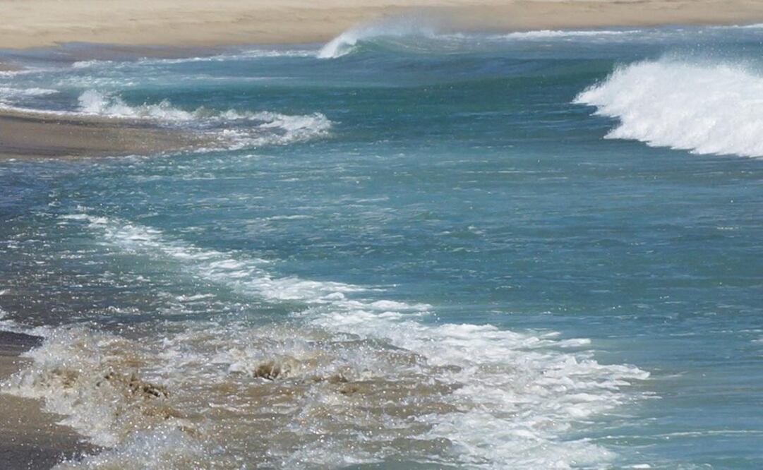 Foto: Archivo El Universal Oaxaca