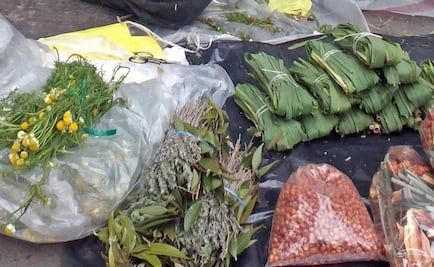 Quieren validar científicamente medicina tradicional maya