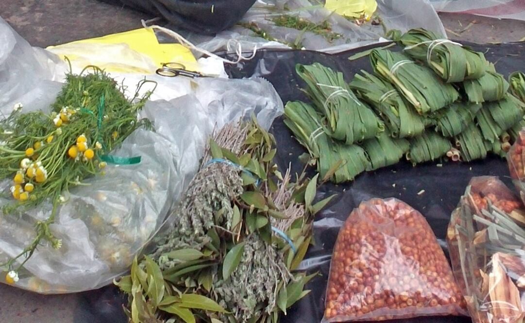 Imagen genérica de elementos usados en la medicina tradicional. Foto: Archivo El Universal