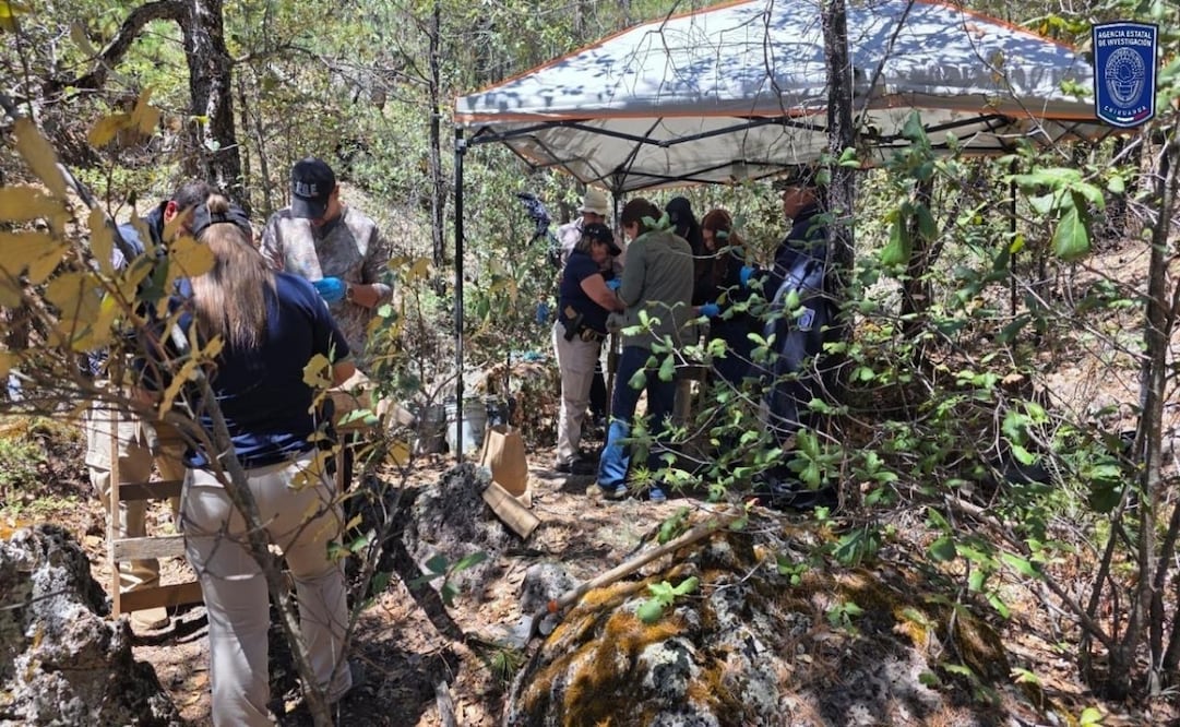 Hallan restos óseos calcinados en Bocoyna, Chihuahua. Foto: Especial