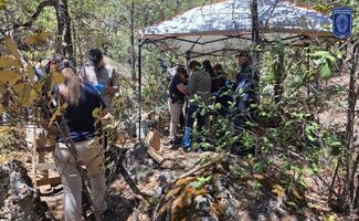 Hallan restos óseos calcinados en Bocoyna, Chihuahua; investigan posible fosa clandestina