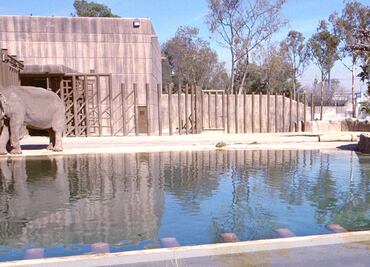 Indagan presunta muerte de 10 animales en Zoológico de San Juan de Aragón