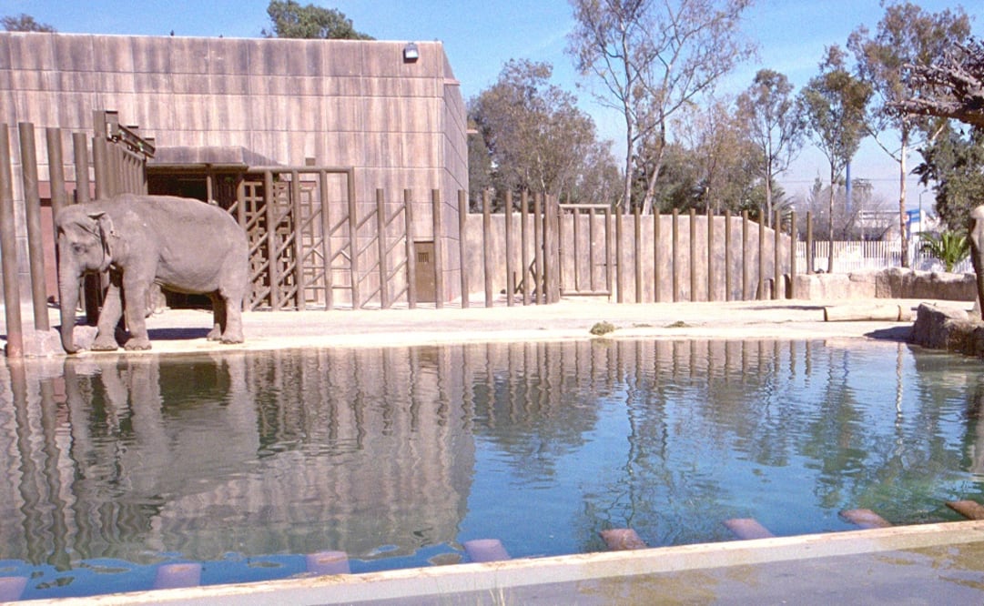 Fotografía: Archivo