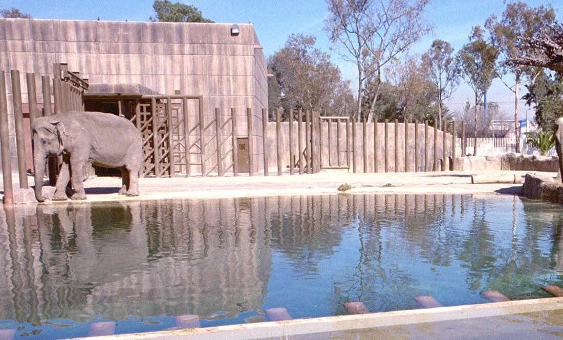 Fotografía: Archivo