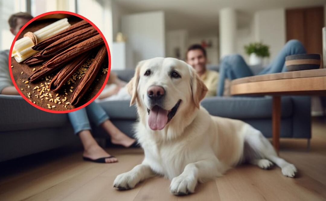 La vainilla en extracto o esencia puede ser peligrosa para los perros. Fuente: Freepik.
