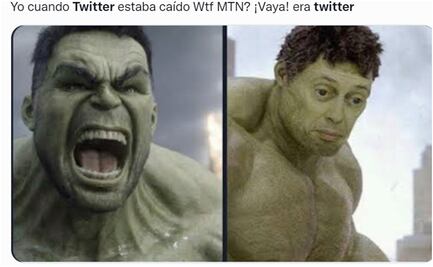 Estos son los memes por la caída de Twitter
