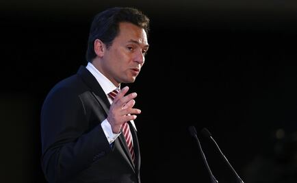 Arrest of Emilio Lozoya’s mother confirmed