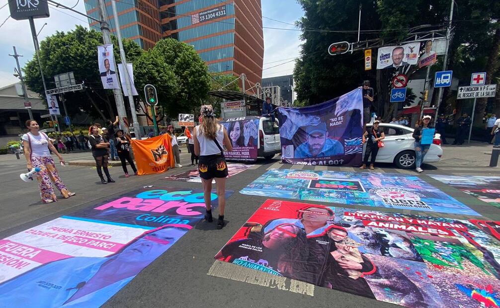 Activistas y defensores de los derechos de los animales, bloquearon la circulación de avenida de los insurgentes. Foto: Juan Carlos Williams - EL UNIVERSAL