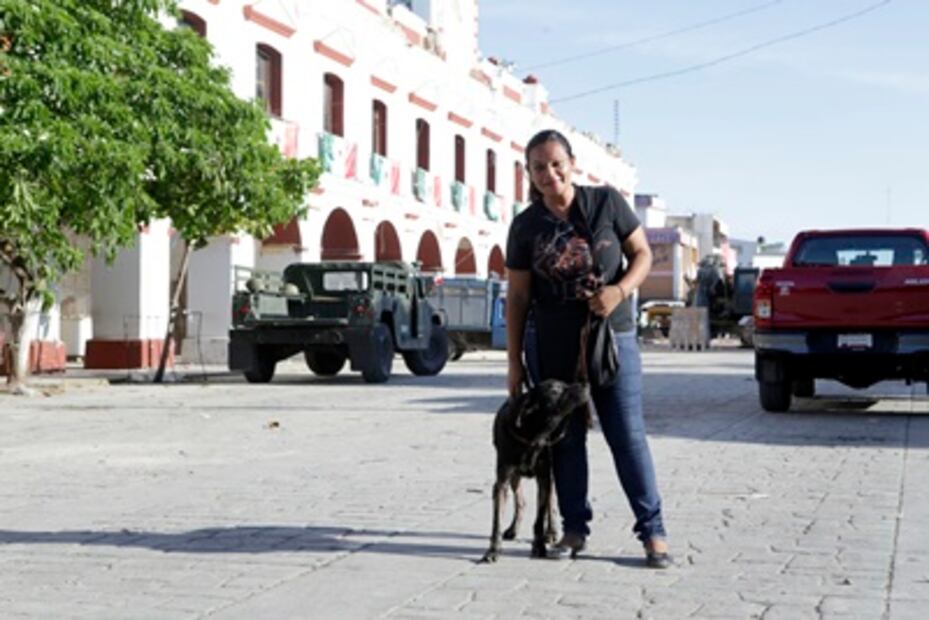 Los perros y los gatos olvidados que dejó el temblor