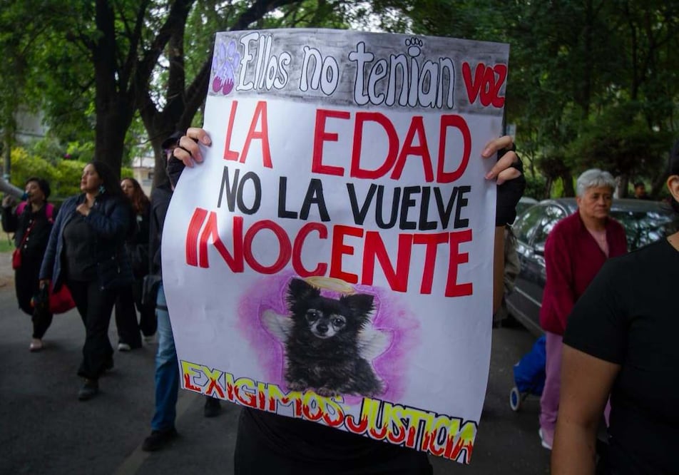 Defensores de animales se manifestaron afuera del departamento de Flor "N", responsable de la muerte de la perrita Moni. Foto: Santiago Reyes / EL UNIVERSAL