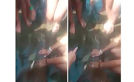 Video. Muere delfín bebé que turistas sacaron del mar para tomar fotos