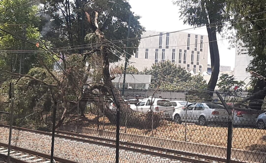 Suspenden servicio del Tren Ligero. Foto: Servicio de Transportes Eléctricos CDMX