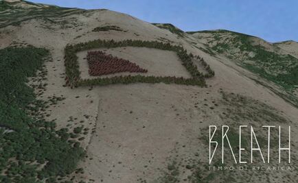 Reforestarán monte con arte