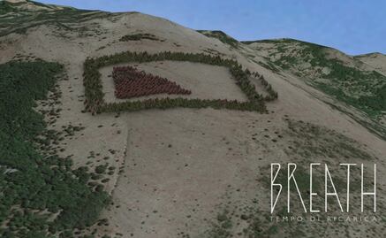 Reforestarán monte con arte