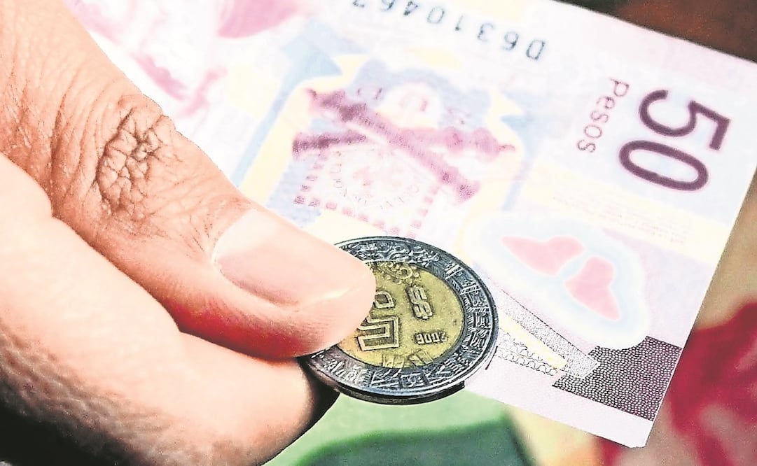 Foto: Archivo. EL UNIVERSAL