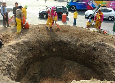 Alistan colocación de nuevo nogal en Miguel Ángel de Quevedo