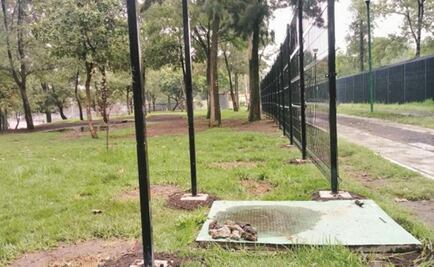 UNAM gets reinforcements