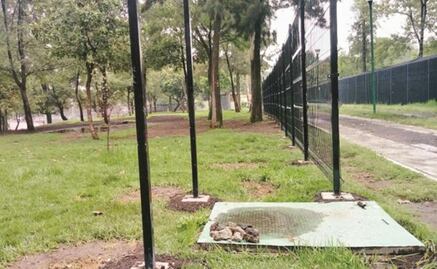 UNAM gets reinforcements