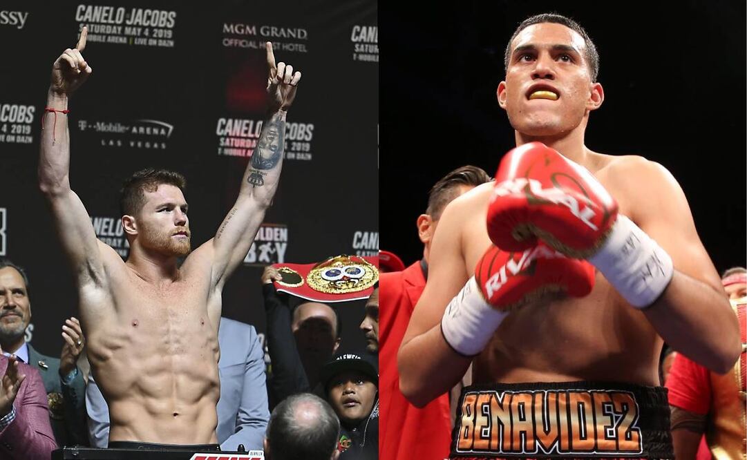 Confirmaron que Canelo Álvarez no quiso enfrentar a David Benavidez. Foto: Especial