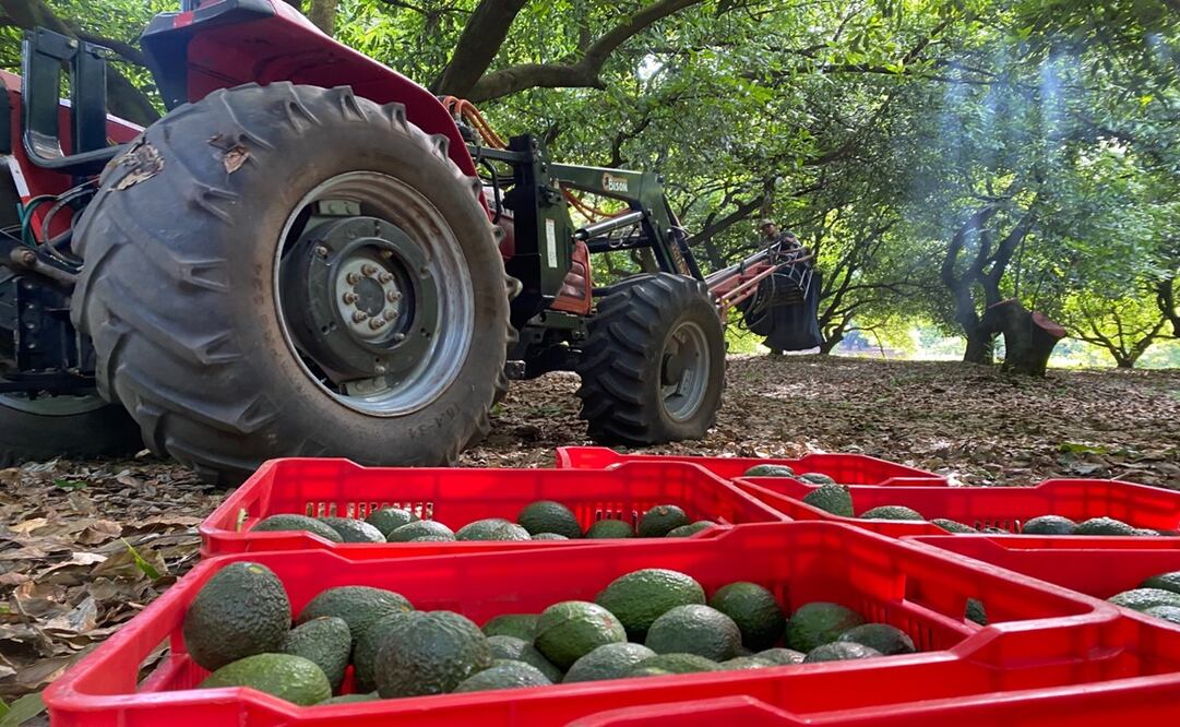 Foto: Carlos Arrieta/ EL UNIVERSAL 