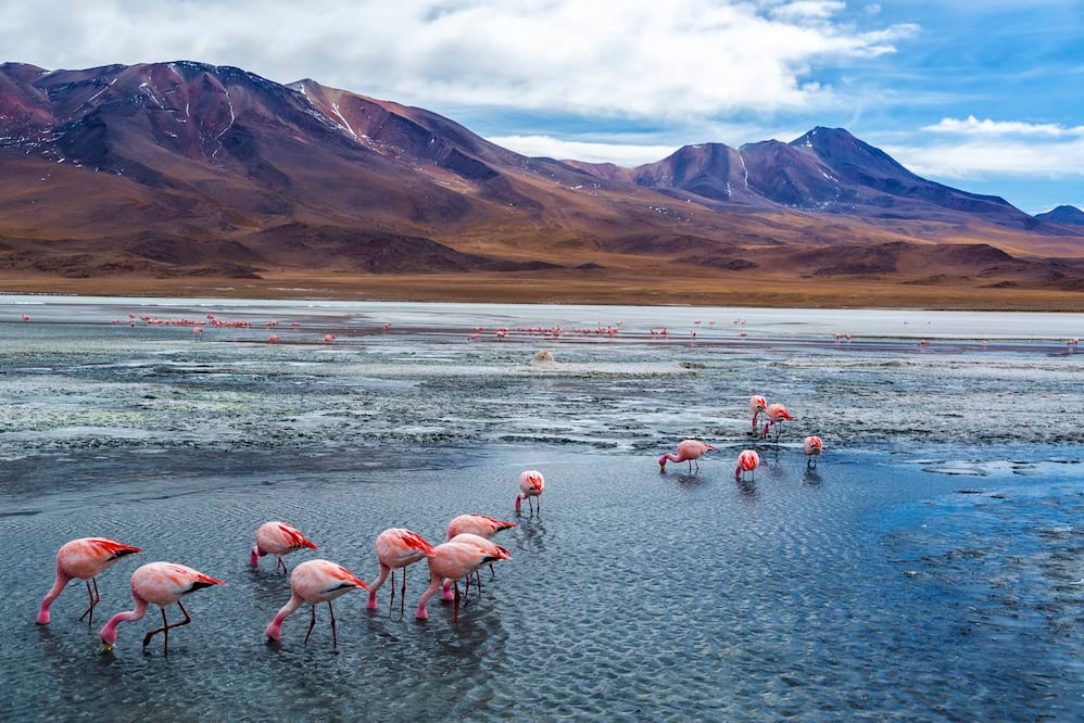 El altiplano boliviano: desierto, volcanes y salares. (Foto: Istock)