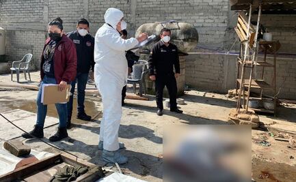 Catean domicilio de familia que mató a golpes a perro en Tlalnepantla