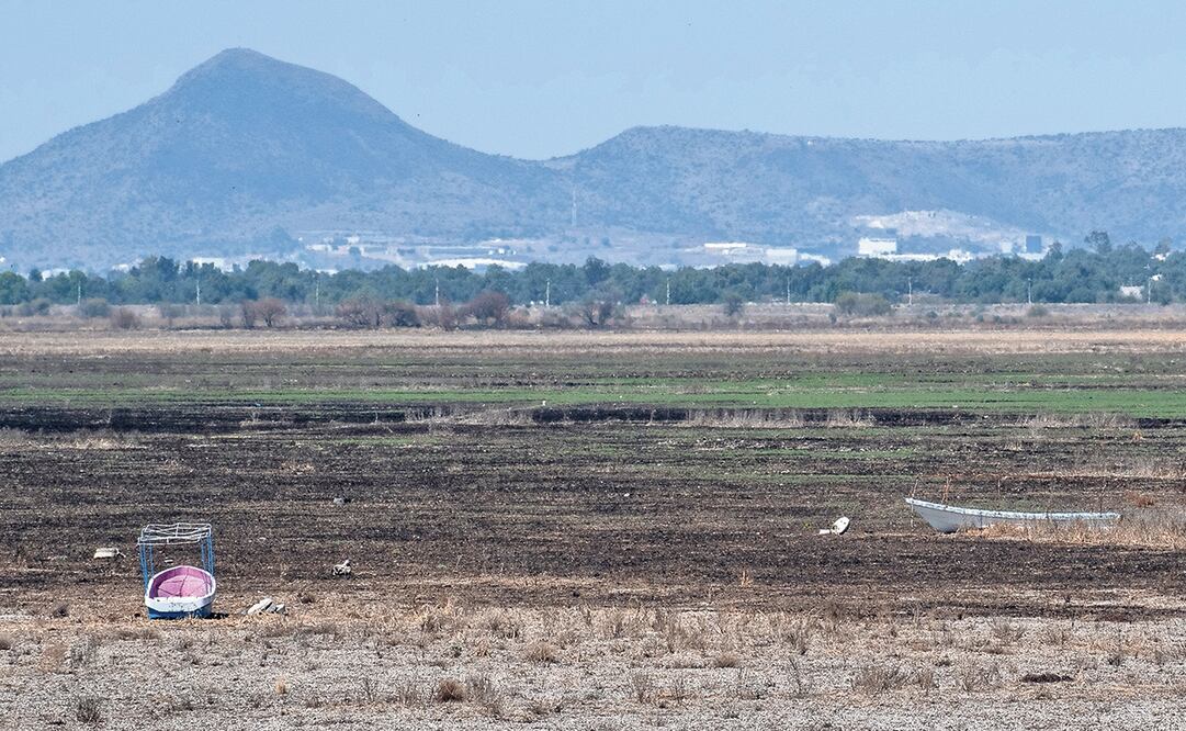Foto: Abril Angulo | El Universal