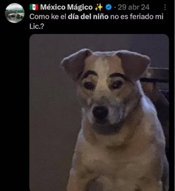 Memes del Día del Niño. Foto: X