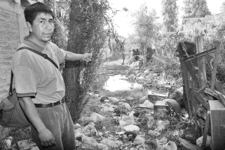Ahuejotes, los viejos guardianes de las chinampas