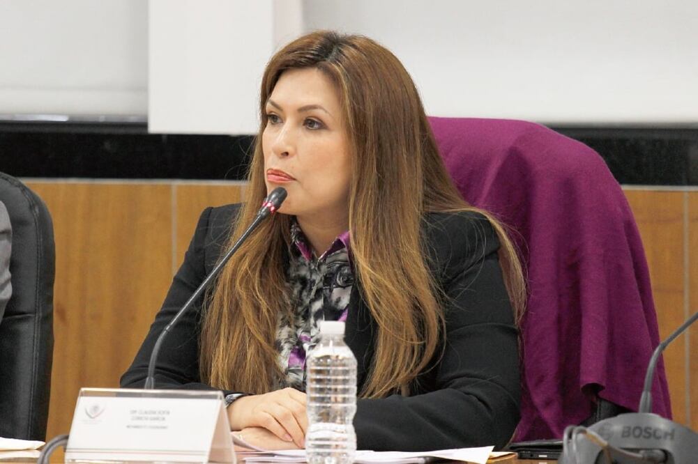 La diputada Claudia Corichi García aseguró que destinar recursos para combatir la trata de menores en internet es prioridad (ARCHIVO EL UNIVERSAL)
