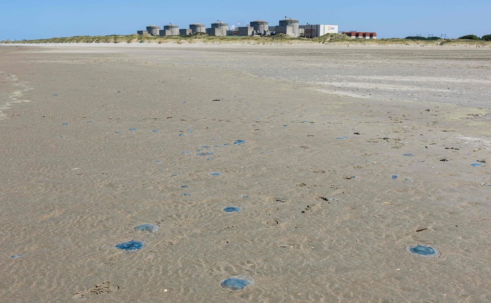 Gravelines, la mayor central nuclear de Europa occidental, situada a orillas del mar del Norte, ya se había enfrentado al mismo problema exactamente hace un año. Foto: AFP