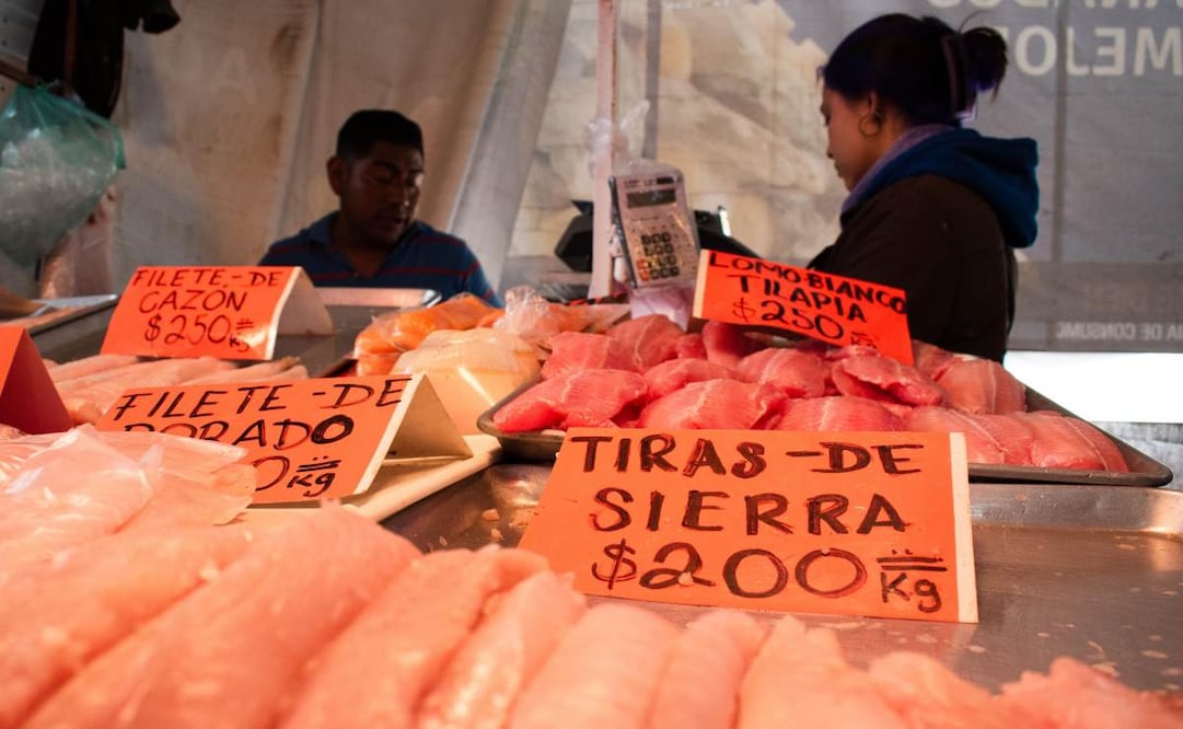 Nueva Viga. Foto: Abril Angulo. EL UNIVERSAL