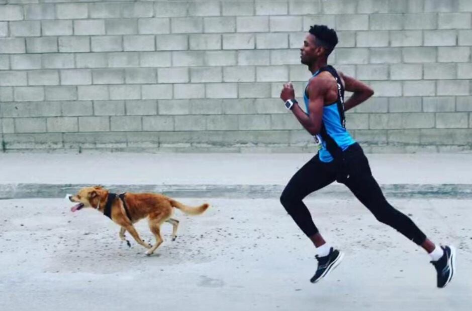 Chicles en entrenamientos con maratonistas. Foto: TikTok @elchicles1350