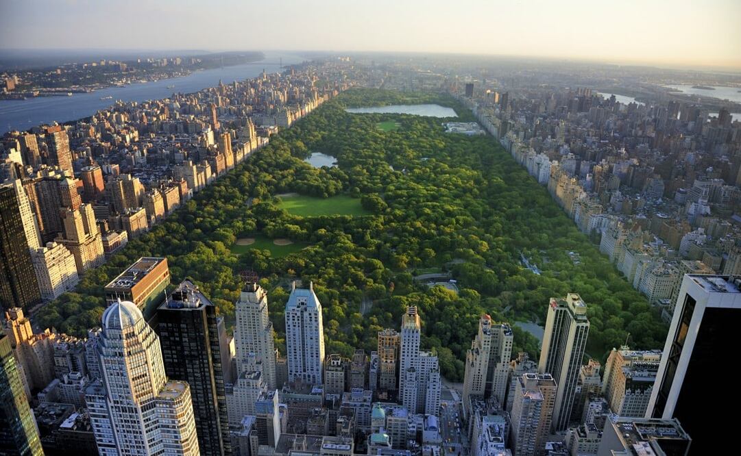 Puedes colorear imágenes inspiradas en Central Park, hacer un rompecabezas virtual o tomar un tour virtual. Foto: iStock