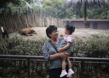 Día del Niño 2025: así celebraron las infancias junto a sus animales favoritos en el Zoológico de Chapultepec