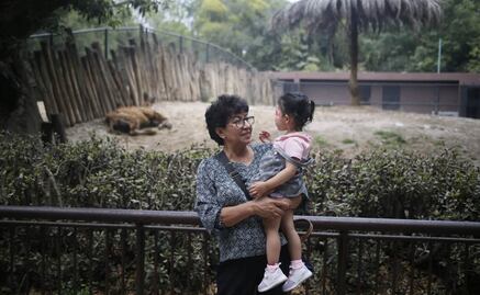 Día del Niño 2025: así celebraron las infancias junto a sus animales favoritos en el Zoológico de Chapultepec