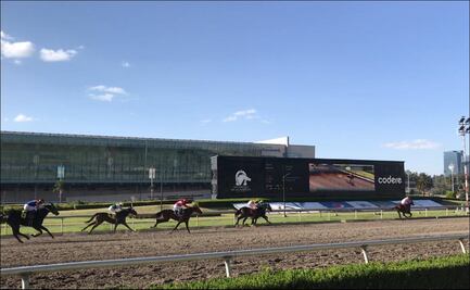 Regresan las actividades al Hipódromo de Las Américas