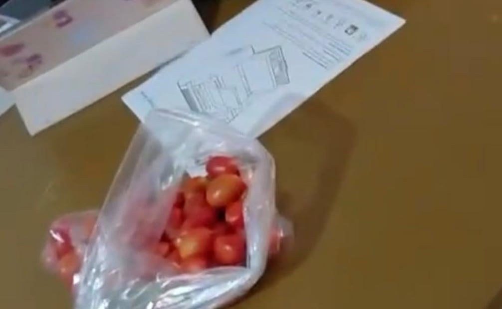 Intercambian jitomate a cambio de afiliarse a Morena (15/01/2026). Foto: Especial