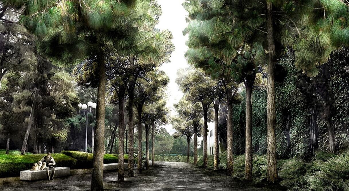 Más árboles para Los Pinos contempla el Plan Maestro de Chapultepec. Foto: Cortesía TAX/ A Kalach/ M Manjarrez/ L Elizondo